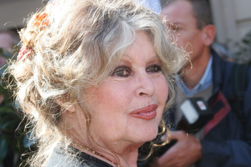 Brigitte Bardot fined by French court for calling La Reunion islanders ‘degenerate savages’