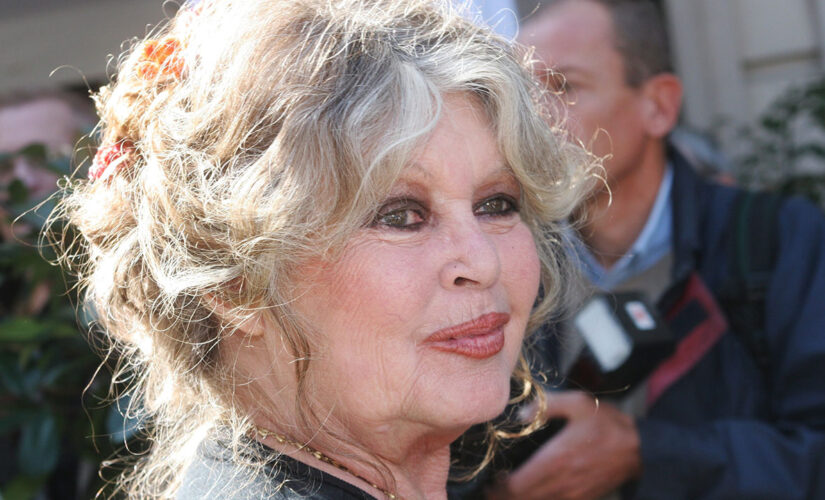 Brigitte Bardot fined by French court for calling La Reunion islanders ‘degenerate savages’