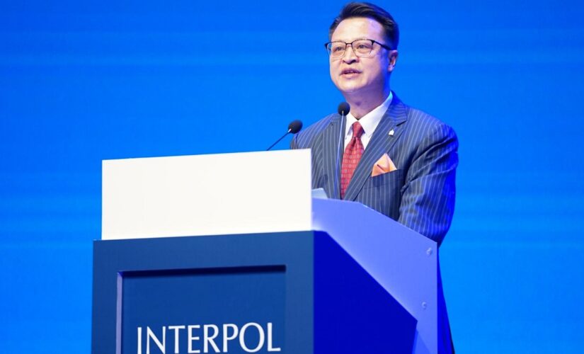 Chinese media applauds Interpol appointment, dismisses international concern over &apos;Operation Fox Hunt&apos;