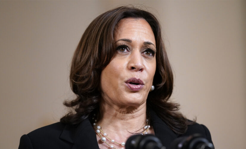 Kamala Harris calls South Africa travel ban &apos;necessary&apos; amid concerns over COVID-19 omicron variant