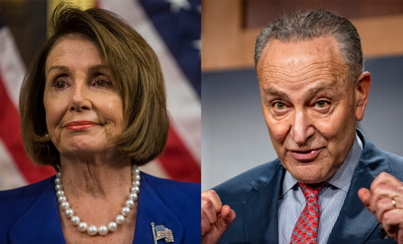 Pelosi and Schumer blasted Trump for high gas prices, but numbers worse under Biden