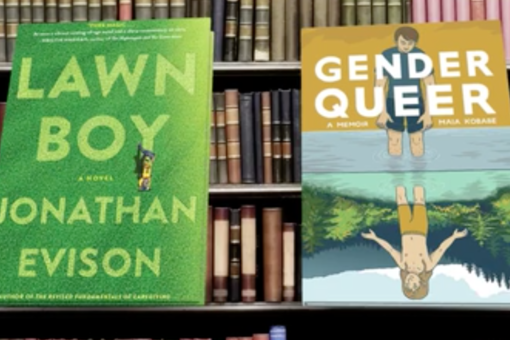 Fairfax County schools reinstates books with explicit images, claiming they don&apos;t include pedophilia