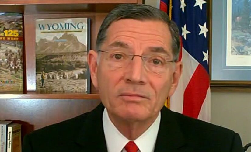 Barrasso slams Biden as ‘Mad Hatter’ on spending: ‘This is Alice in Wonderland logic’