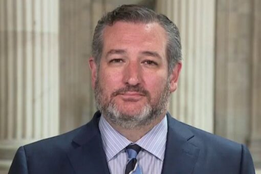 Cruz blasts MSNBC over segment tying Thanksgiving to &apos;white supremacy&apos; and &apos;genocide&apos;