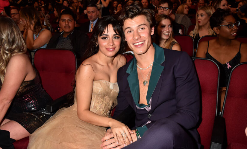 Shawn Mendes and Camila Cabello break up: We &apos;will continue to be best friends&apos;