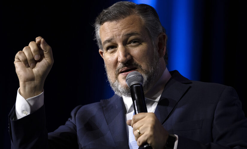 Ted Cruz says US should not boycott Beijing Olympics: American athletes need to &apos;kick their commie a—-&apos;