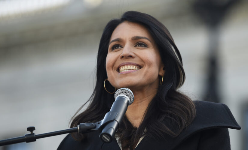 Tulsi Gabbard to Democrats: ‘Stop trying to divide us’