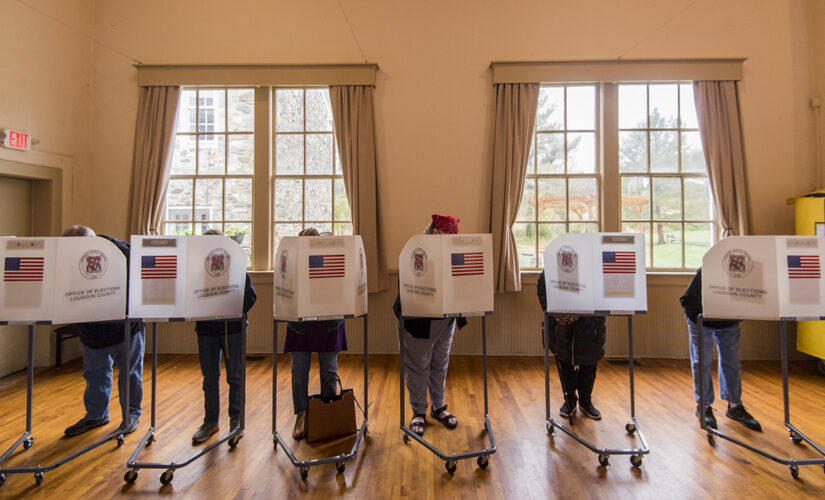 VA Dept. of Elections commissioner says election ‘about as smooth as we could ask for’