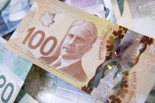 Canadian man pleads guilty to making up a dozen fake children in order to claim government benefits