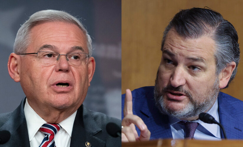 Ted Cruz, top Dem have heated exchange over Biden’s Egypt policy