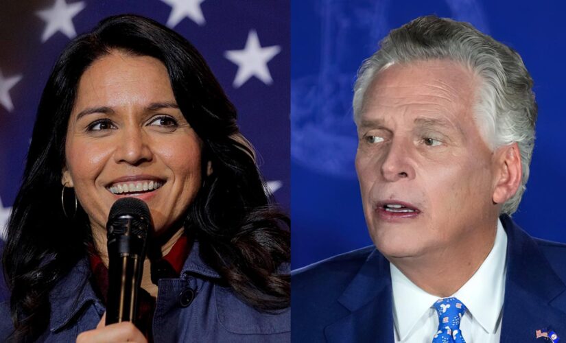 Gabbard celebrates McAuliffe loss as rejection of efforts to ‘separate us by race’: ‘Victory for all’