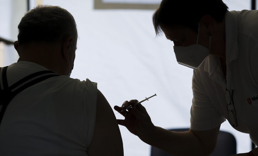 Germany&apos;s health minister urges people to get vaccinated