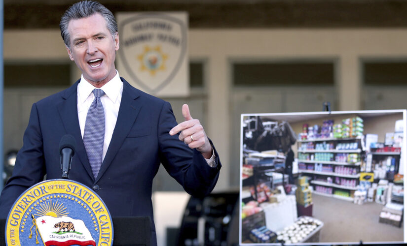 Gavin Newsom&apos;s plan to stop California&apos;s smash-and-grab thefts: $300M for local law enforcement