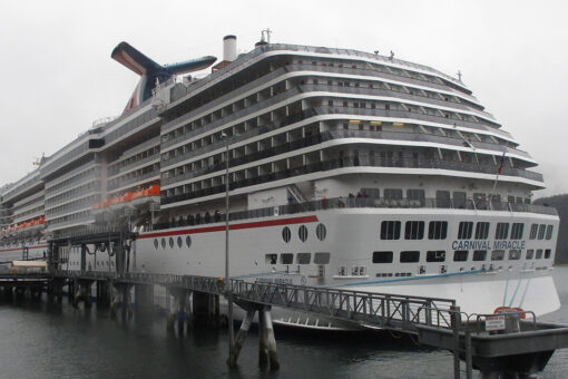 US Coast Guard suspends search for woman who went overboard on cruise ship