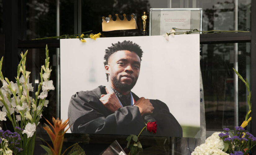 &apos;Black Panther&apos;: Chadwick Boseman&apos;s brother joins movement to have T&apos;Challa character recast