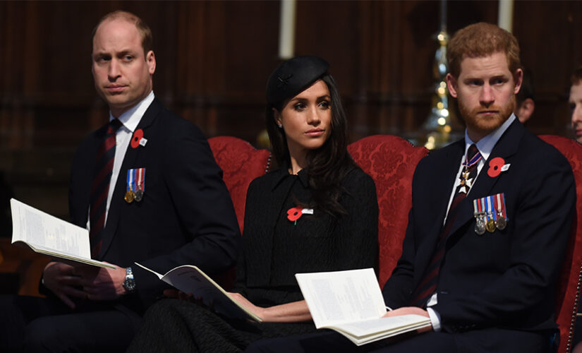 Prince William was wary about Prince Harry slamming the press about Meghan Markle for this reason: book