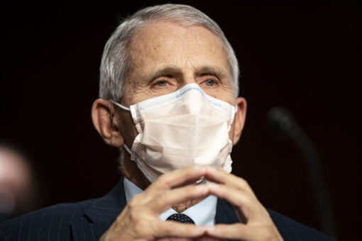 Fauci says officials feel &apos;very badly&apos; about African travel ban, will reevaluate policy