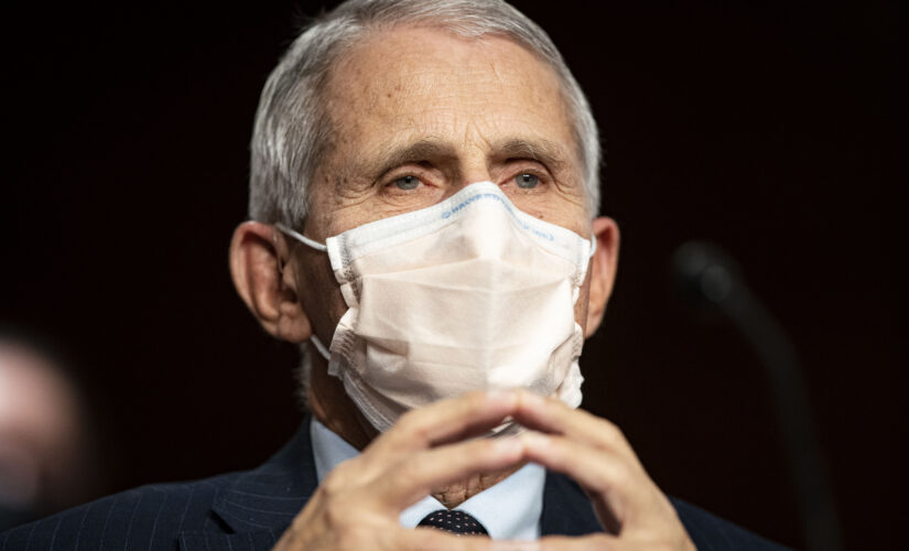 Fauci says officials feel &apos;very badly&apos; about African travel ban, will reevaluate policy