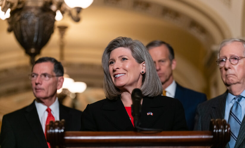 Ernst slams &apos;Bare Shelves Biden&apos; for pushing massive spending bill as Americans struggle to buy holiday gifts