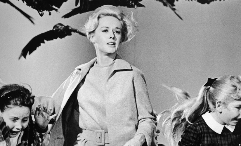 &apos;The Birds&apos; star Tippi Hedren says Alfred Hitchcock &apos;ruined&apos; her career: He had &apos;a dark side&apos;