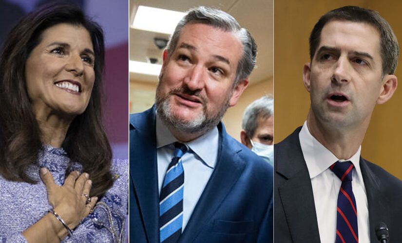 Potential 2024 GOP candidates warn US influencers taking money from China: You&apos;re &apos;condoning&apos; genocide