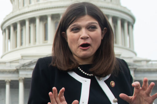 Michigan Democrat claims economy under Biden 'flourishing,' Republicans fire back