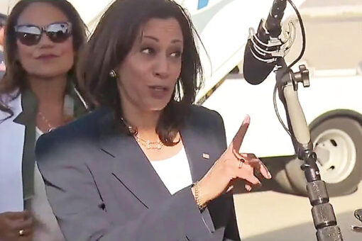 VP Harris meets with activist who said &apos;f—&apos; &apos;White women’
