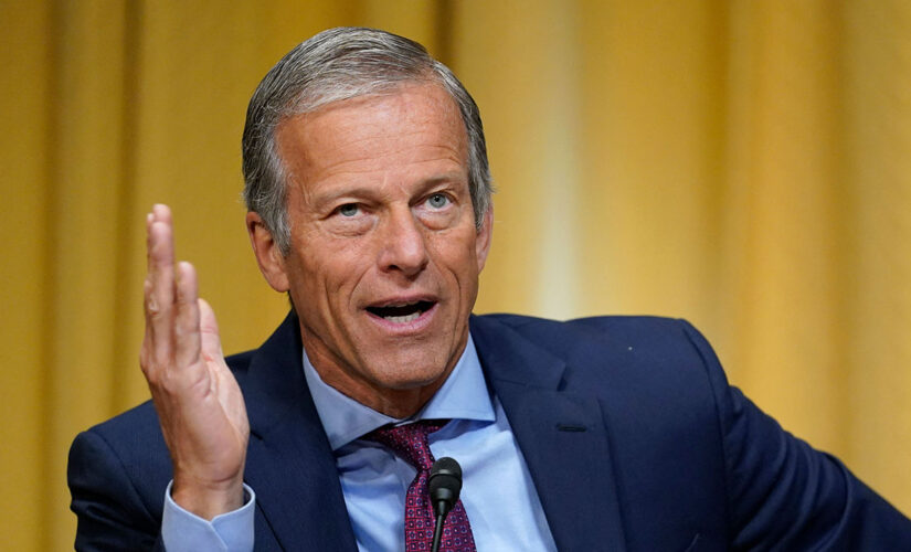 GOP Sen. John Thune seriously considering retirement: report