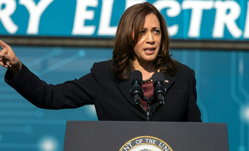 Pro-life advocates rip Kamala Harris&apos; prediction that &apos;women will die&apos; if Roe v. Wade is overturned