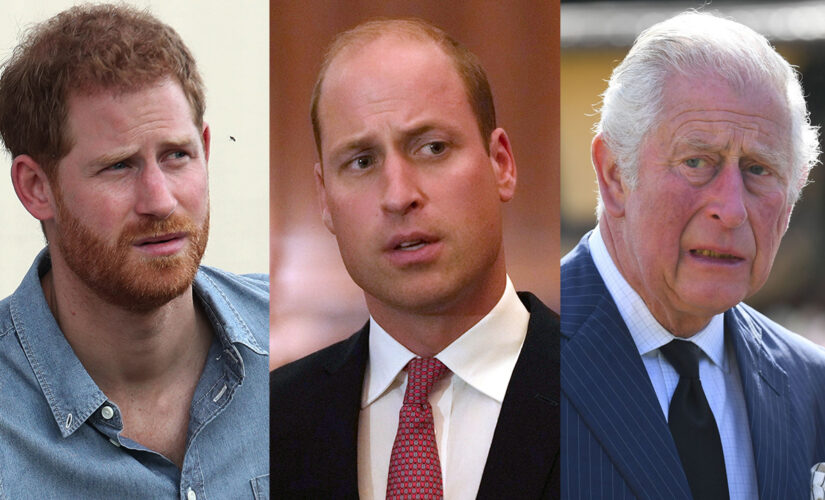 Prince Charles, Prince William told Prince Harry he was &apos;overreacting&apos; about Archie&apos;s skin tone remarks: book