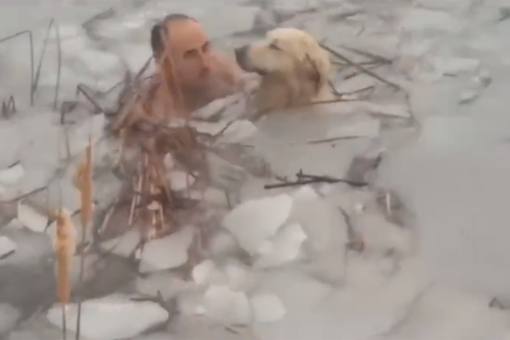 Police officers brave freezing water to rescue stranded dog