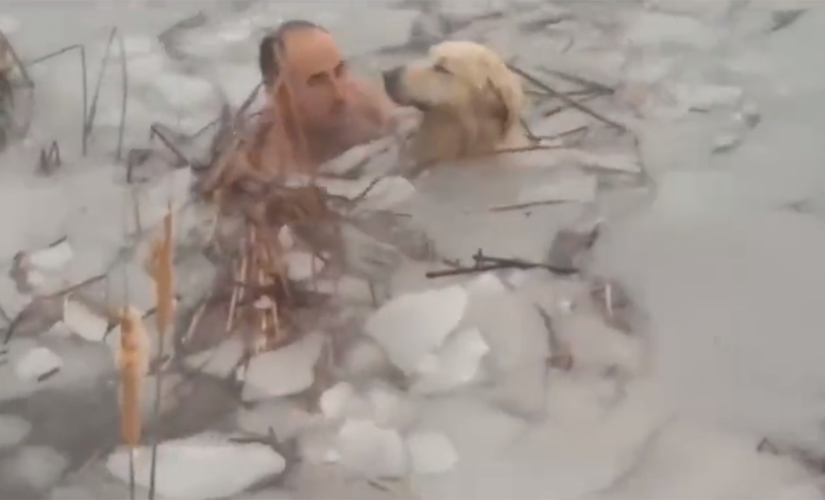 Police officers brave freezing water to rescue stranded dog