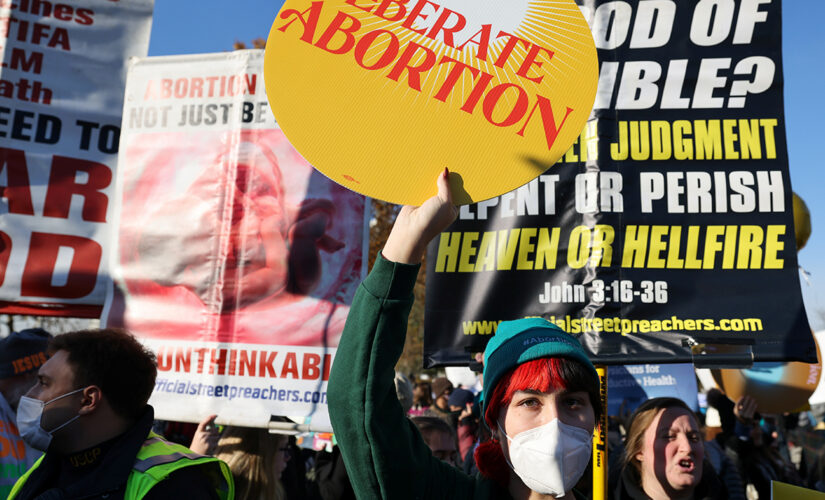 Lawmakers remain divided as  Roe v. Wade hangs in the balance at Supreme Court