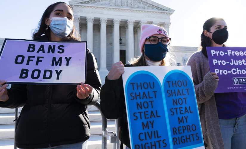 Pro-life, pro-choice lawmakers brace for historic Supreme Court abortion arguments