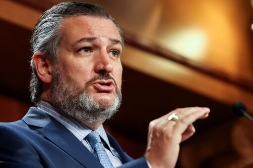 Cruz hammers Biden judicial nominee who described himself as &apos;wild-eyed leftist&apos;