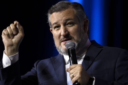Ted Cruz says he is leading effort to 'stop every dumb— thing' Biden, Democrat leaders are doing
