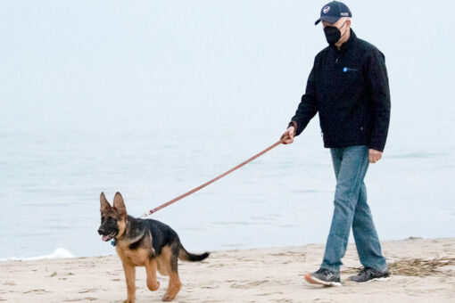 Biden mocked for wearing mask outside on Delaware beach: &apos;Mask theater is so absurd&apos;