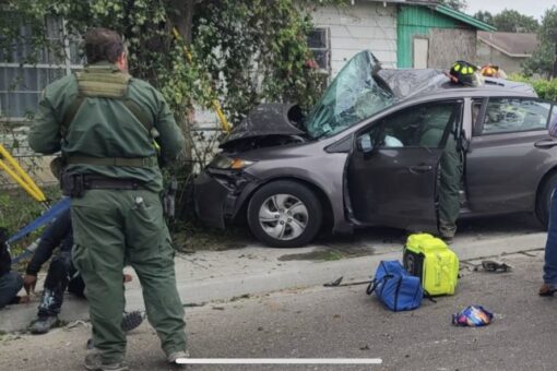 Group pushes for gender equity in vehicle crash testing