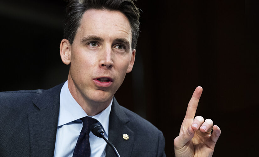 Hawley says Democratic rhetoric amid SCOTUS abortion hearing ‘really dangerous’