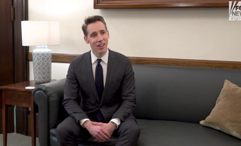 Sen. Hawley calls BLM&apos;s corporate sponsors &apos;anti-American&apos; for silence on Christmas boycott