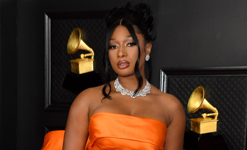 Megan Thee Stallion cancels performance citing Astroworld Festival tragedy: &apos;Houston is still healing&apos;