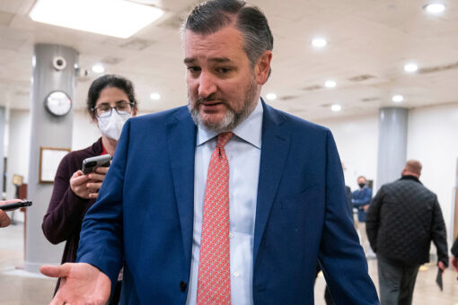 Cruz accuses Fauci of playing politics with COVID-19 after recent comment about hospitalized children