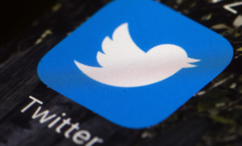 Twitter suspends pro-family think tank director after tweet opposing &apos;chemical castration&apos; of children