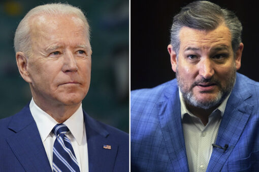 Ted Cruz introduces legislation to allow states to purchase monoclonal antibodies