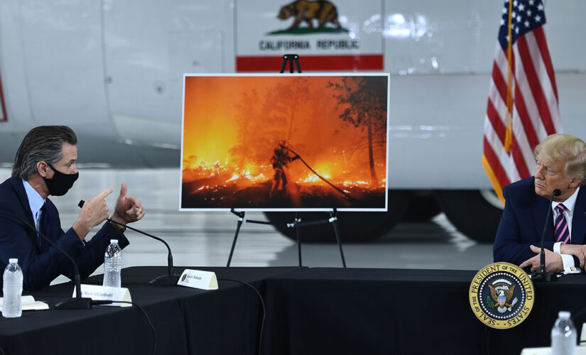 Gavin Newsom less warm toward Trump on wildfire aid during VP Harris visit