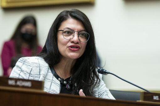 Rashida Tlaib’s Dem challenger accuses her of ‘anti-Semitic rhetoric’: ‘She goes crazy’