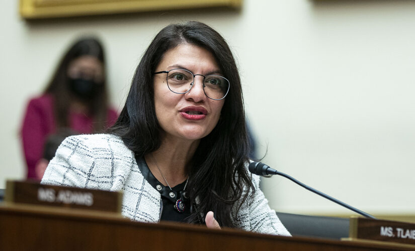 Rashida Tlaib’s Dem challenger accuses her of ‘anti-Semitic rhetoric’: ‘She goes crazy’