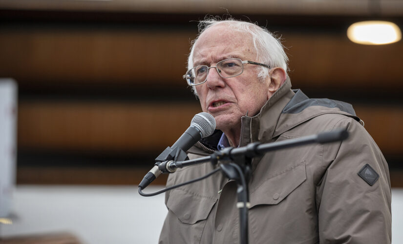 Bernie Sanders says Democratic Party has ‘turned its back’ on working Americans