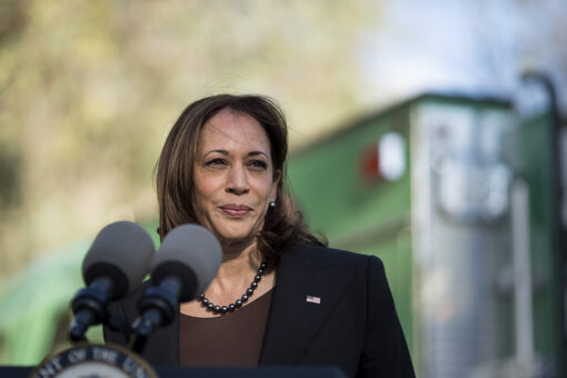 Harris heads to Honduras for inauguration of socialist president as US southern border crisis worsens