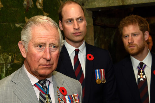 Prince Charles praises sons Prince Harry, Prince William in new essay about climate change: ‘I am proud’